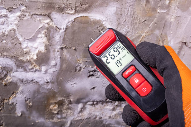 Best Mold Remediation for Schools in Huntington Beach, CA