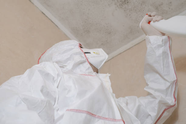 Best Industrial Mold Remediation in Huntington Beach, CA