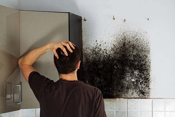Best Emergency Mold Remediation in Huntington Beach, CA